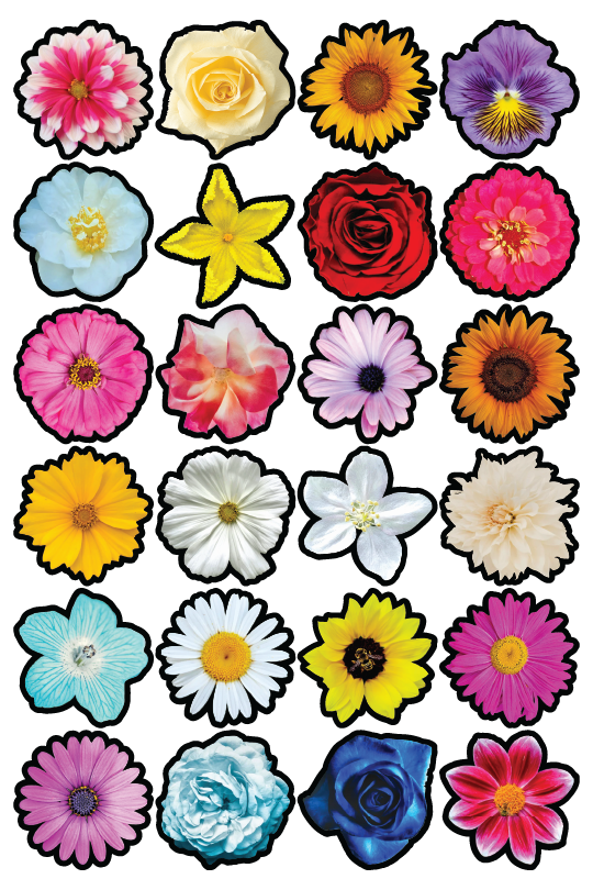 Flowers 1