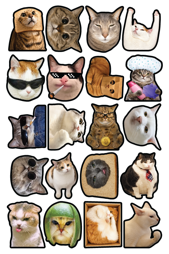 Cat 2