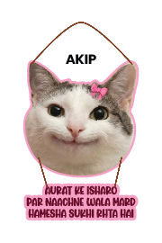 Cat - Aurat k Isharo Par Nachne Wala Mard Hamesha Sukhi Rahta Hai