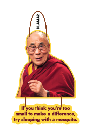 Dalai Lama - If you think you're too small to make a difference, try sleeping with a mosquito